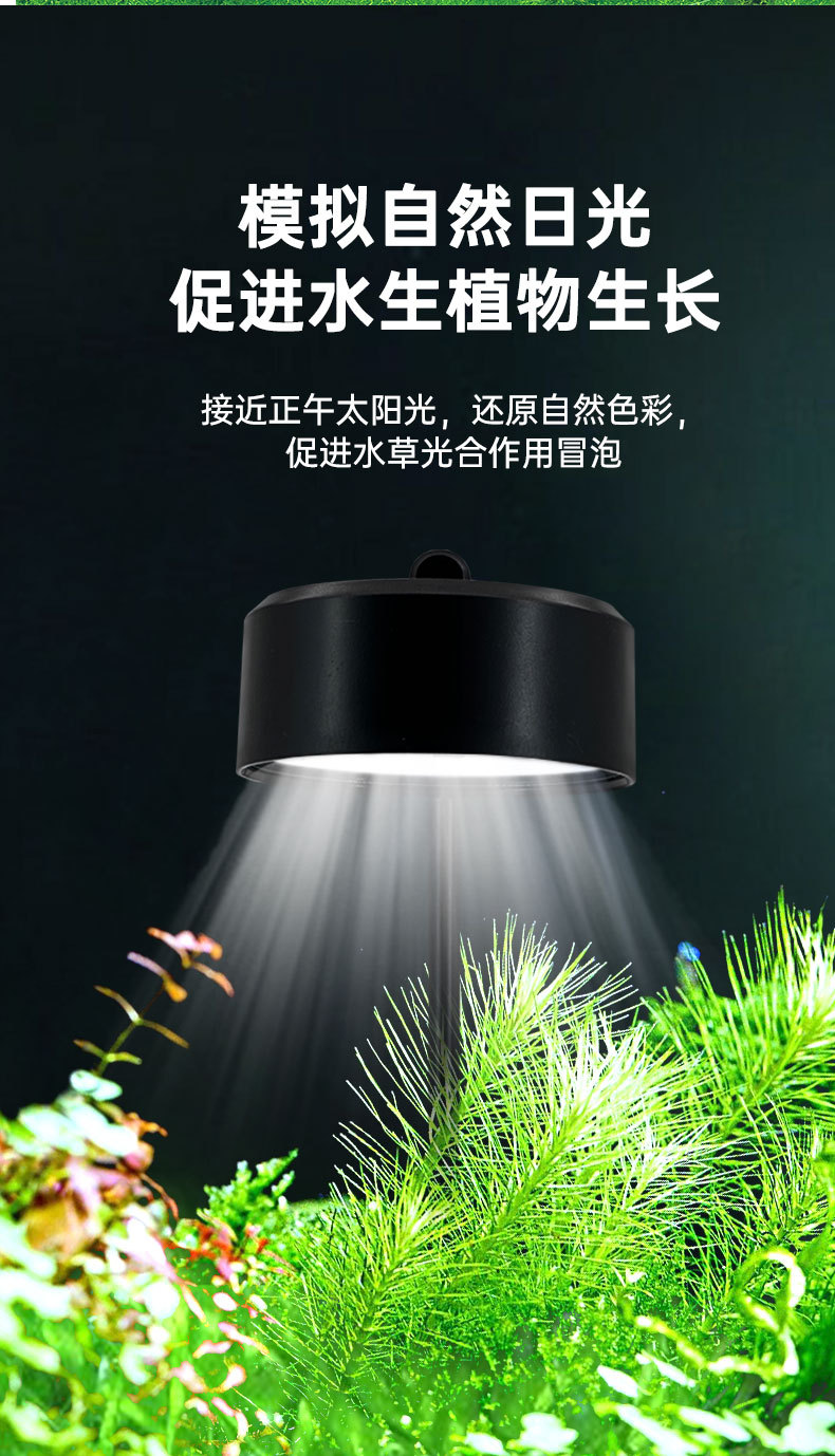 水草灯详情_05.jpg