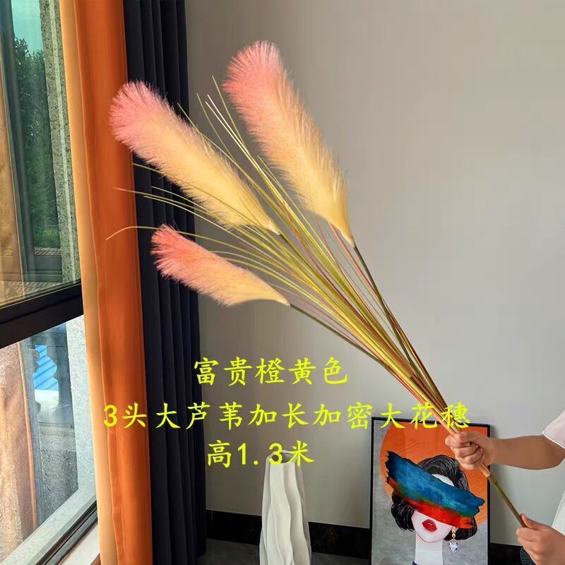 /O1CN012OFo481wv3Zqyxf4N_!!2218802616369-0-cib.jpg