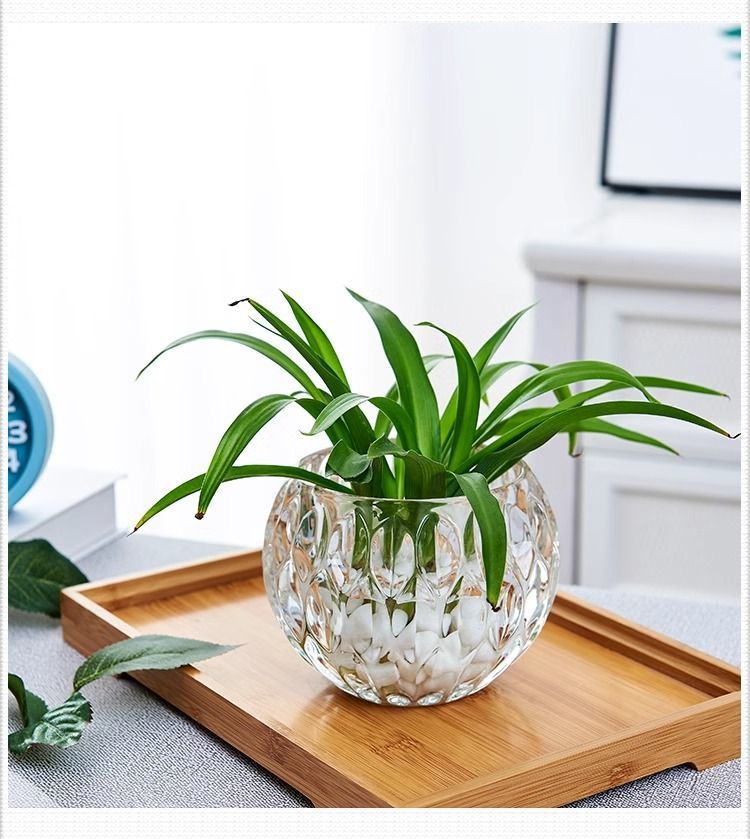 fa34f734-f90b-48b8-8f9e-c48259717115.jpe