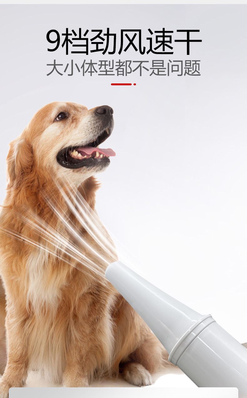 5bbb00a0-7b23-4e6f-920c-d1dd07f63d57.jpe