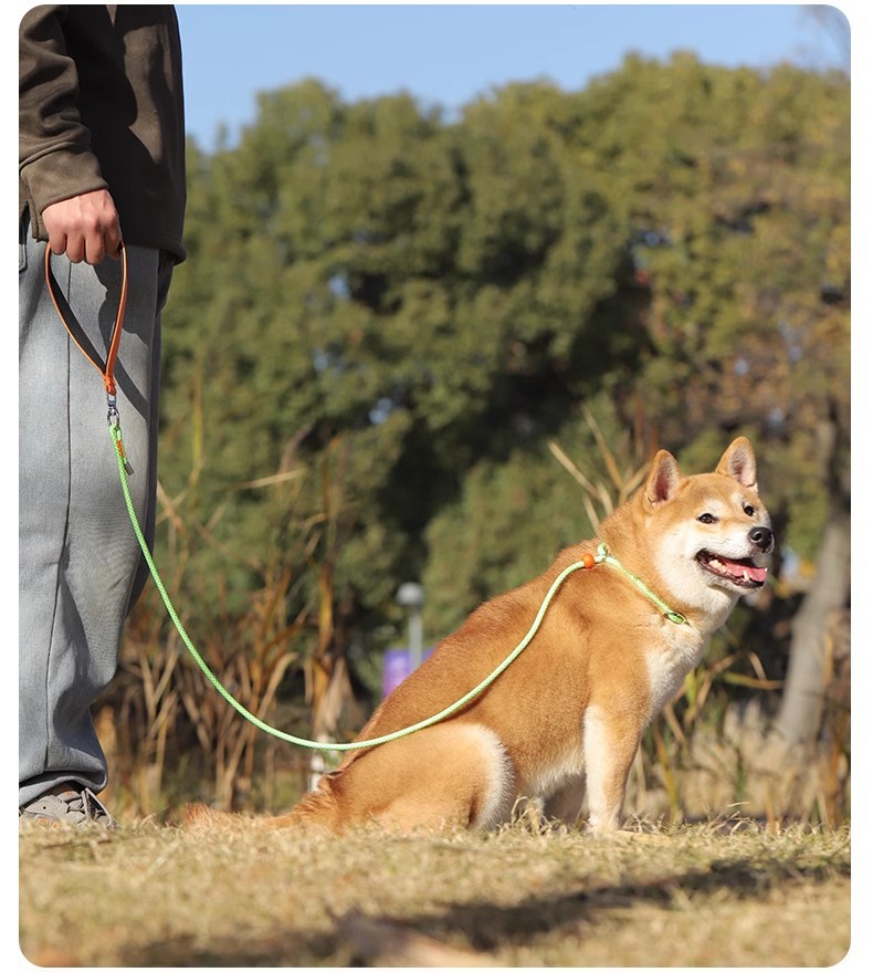 O1CN01MG1RN724NdTnCbeuY_!!7044