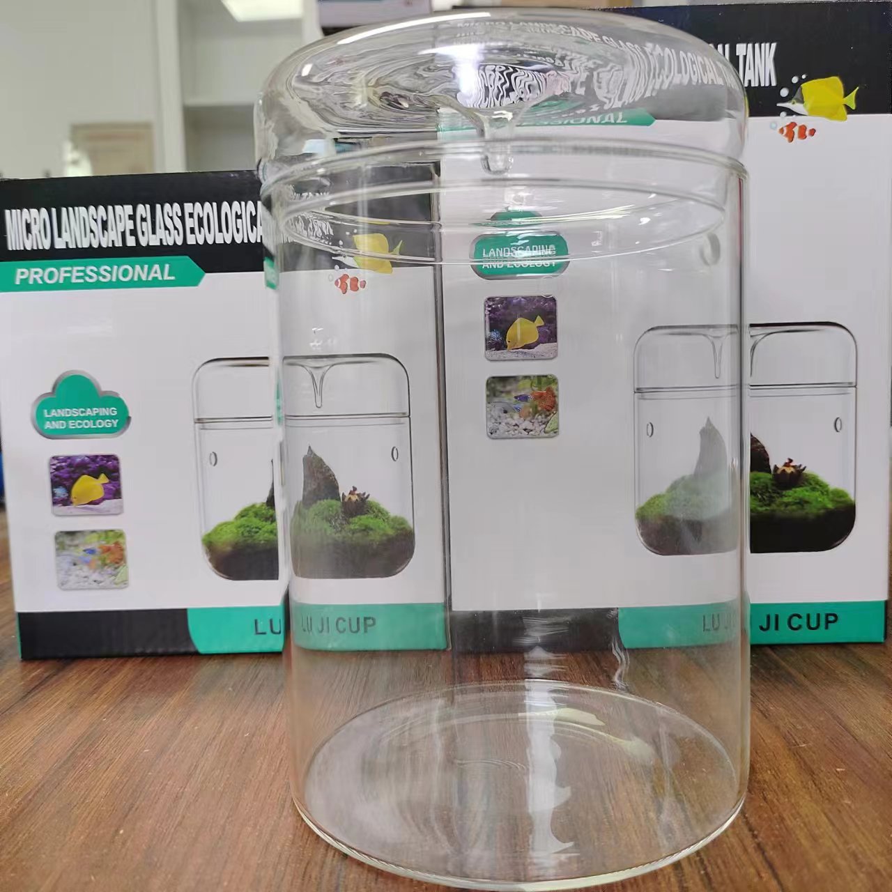 微景观造景缸 (11).jpg