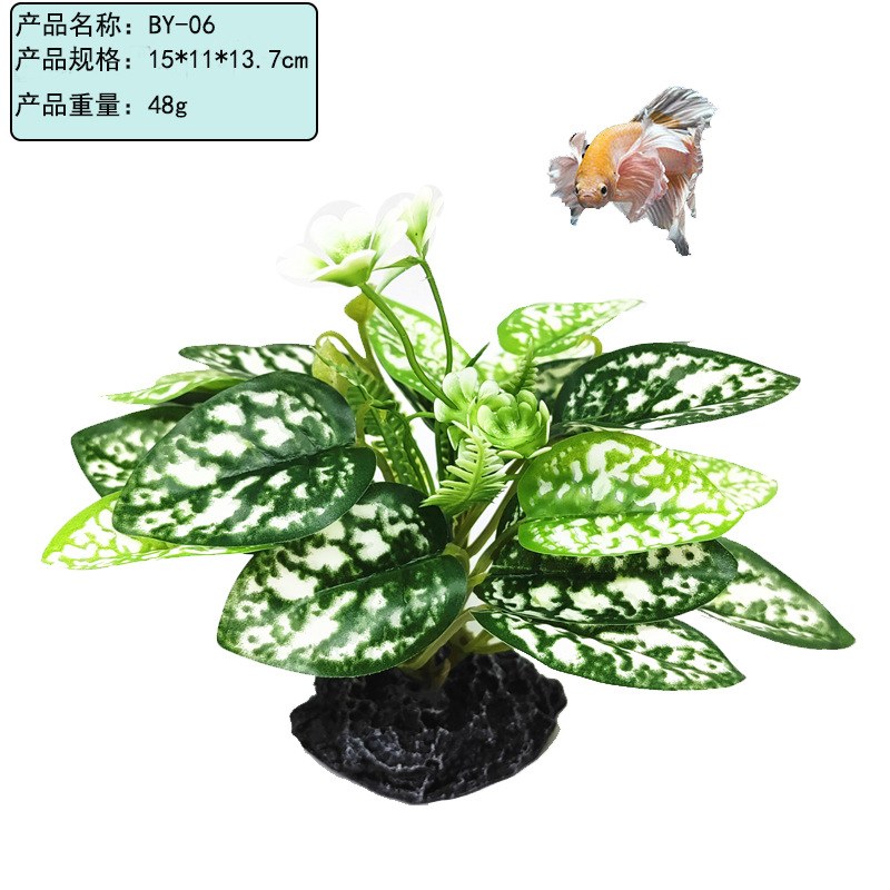 未标题-2