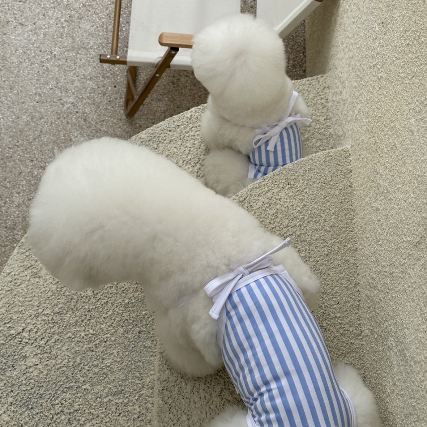 微信图片_20230530161743