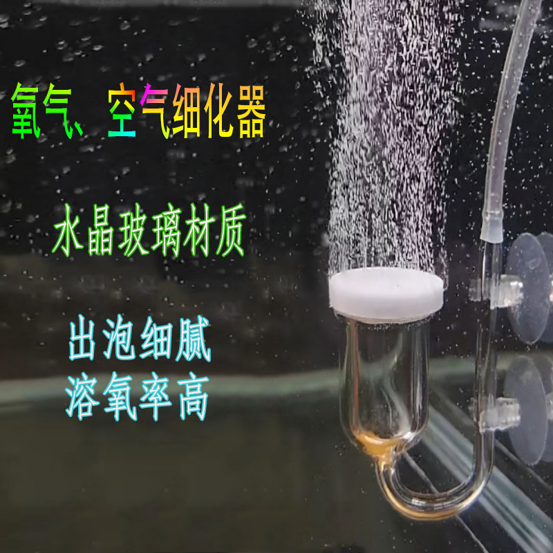 主