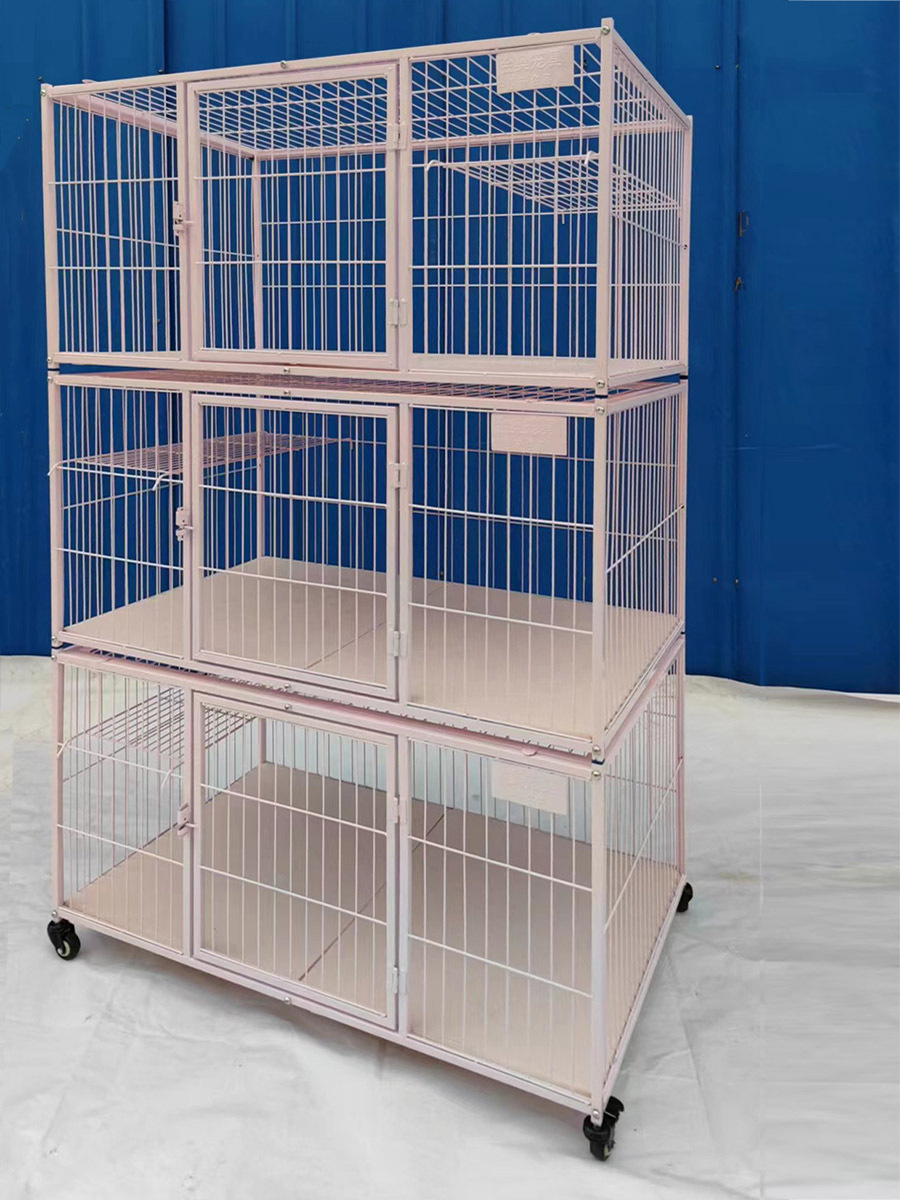 微信图片_20230308131751ddd