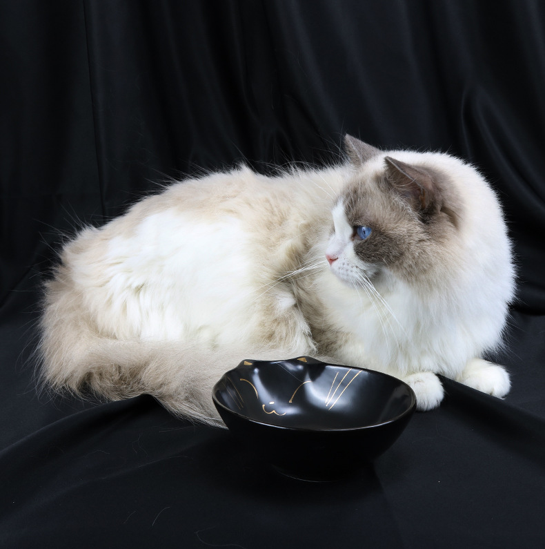 日式猫食碗12.jpg