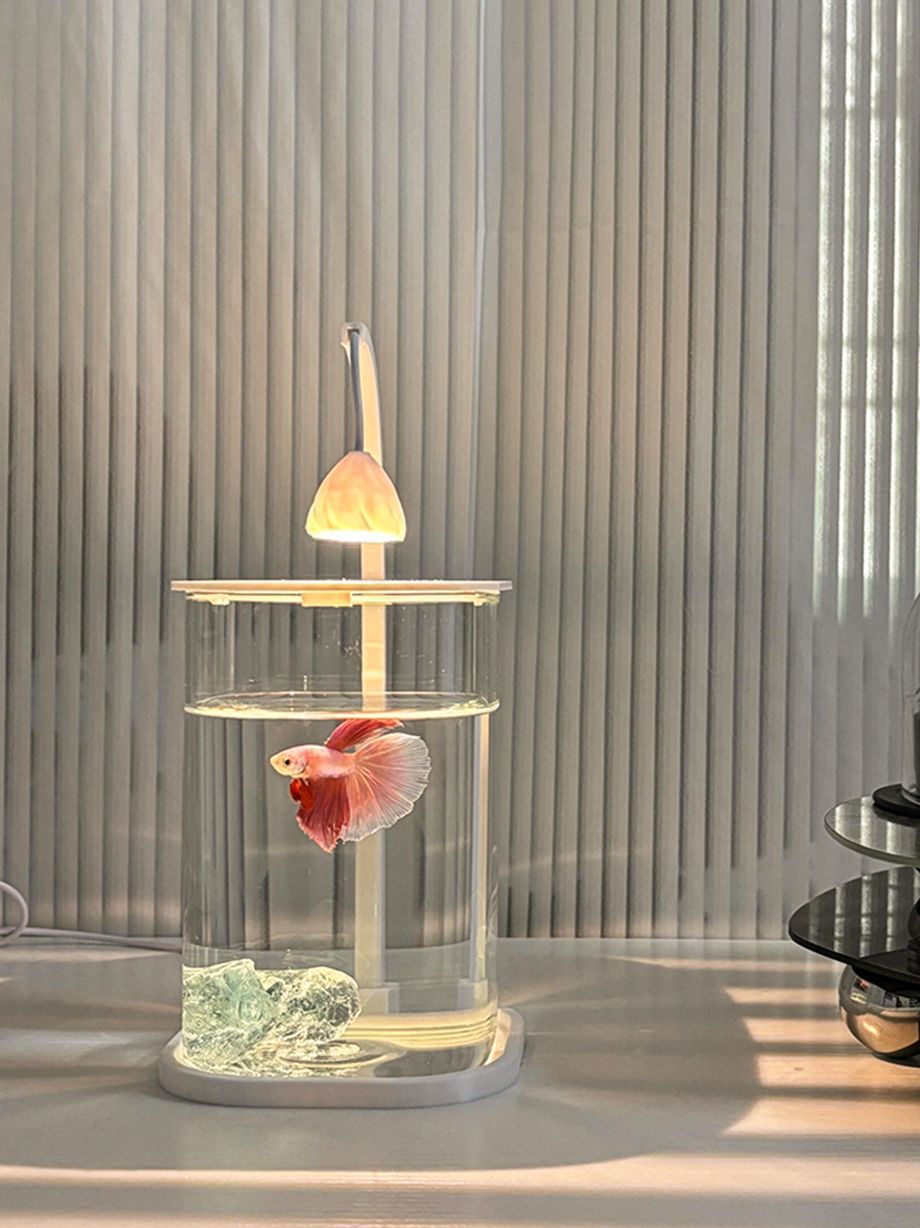 f6b62ba6-8854-4fbb-9949-11b38ebbcf72.jpe