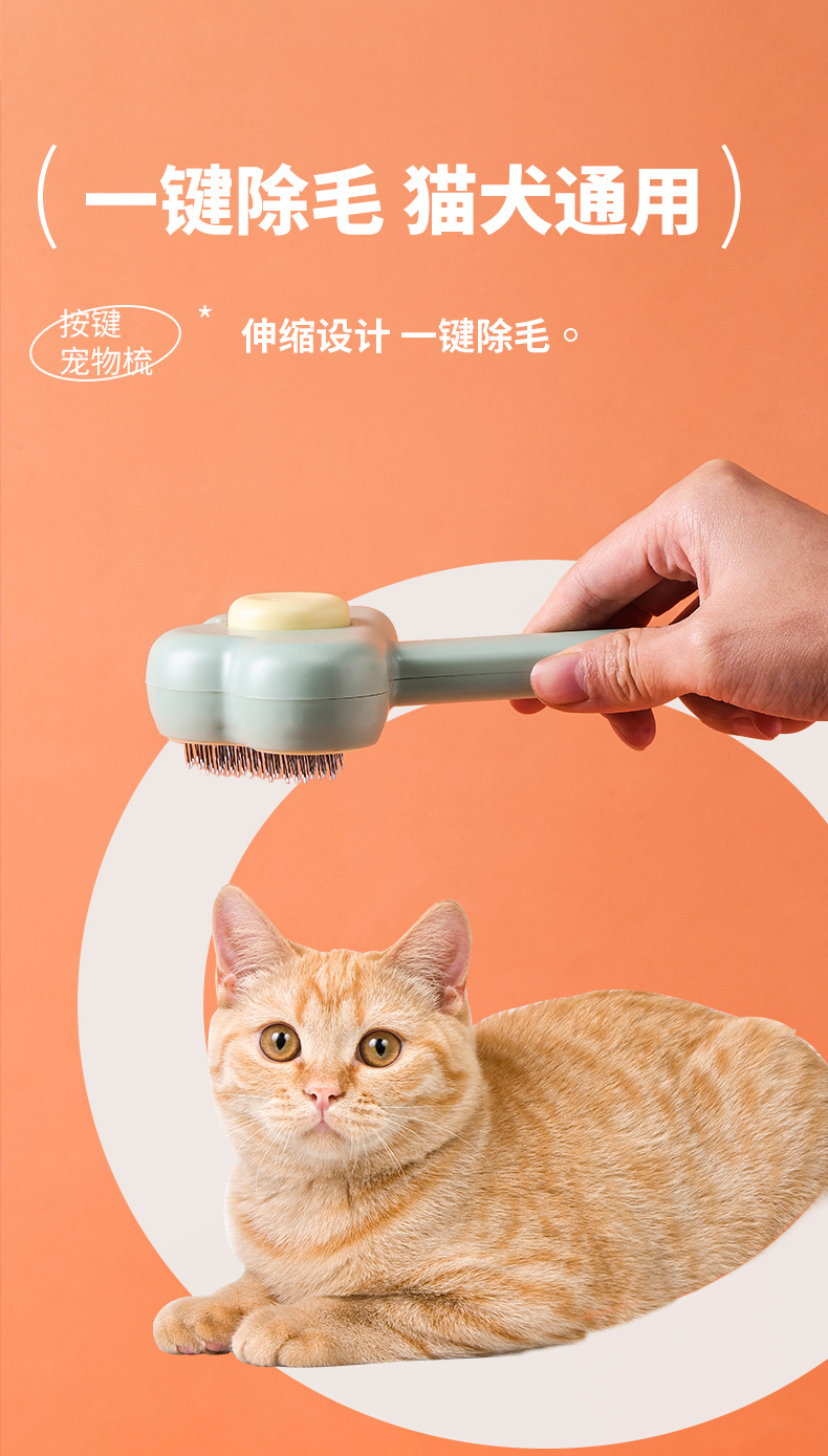 宠物清洁毛刷_01.jpg