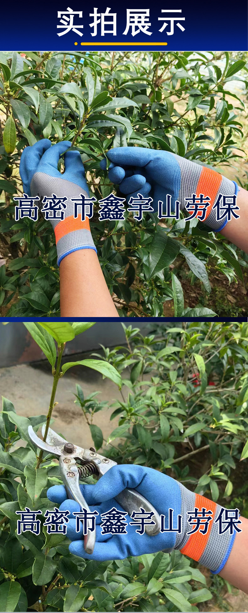 实拍