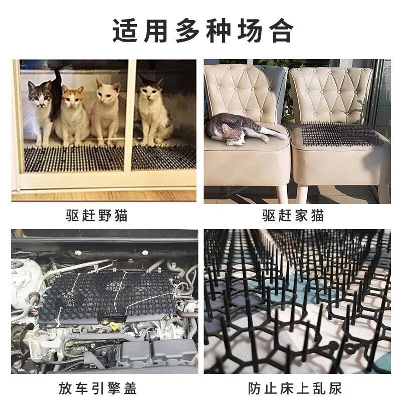 QQ图片20210930104227.jpg?x-oss-process=image/format,png
