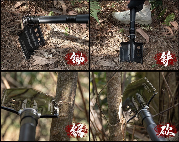 700e65a4-ae91-4359-8ff9-e02588f94cfd.jpe