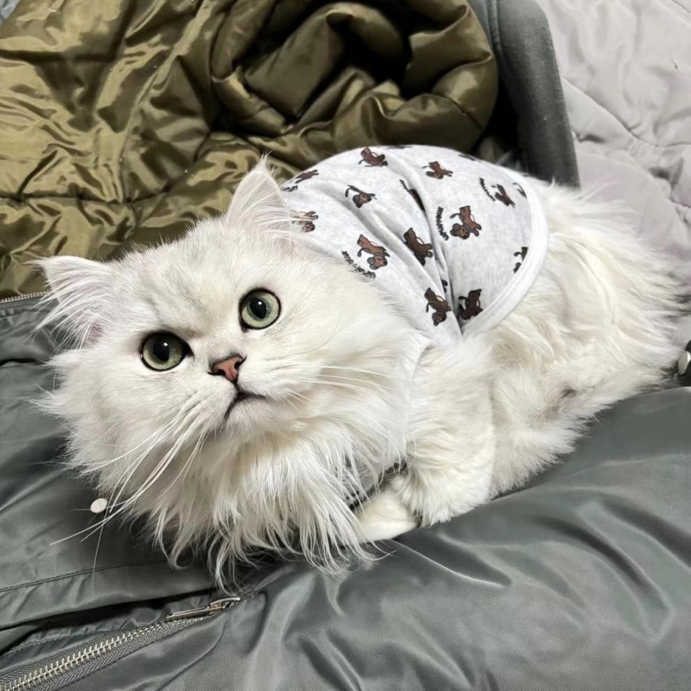 6c1fef8b-49dc-4be6-b532-e6f992234641.jpe