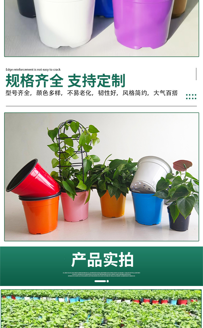彩色花盆_07