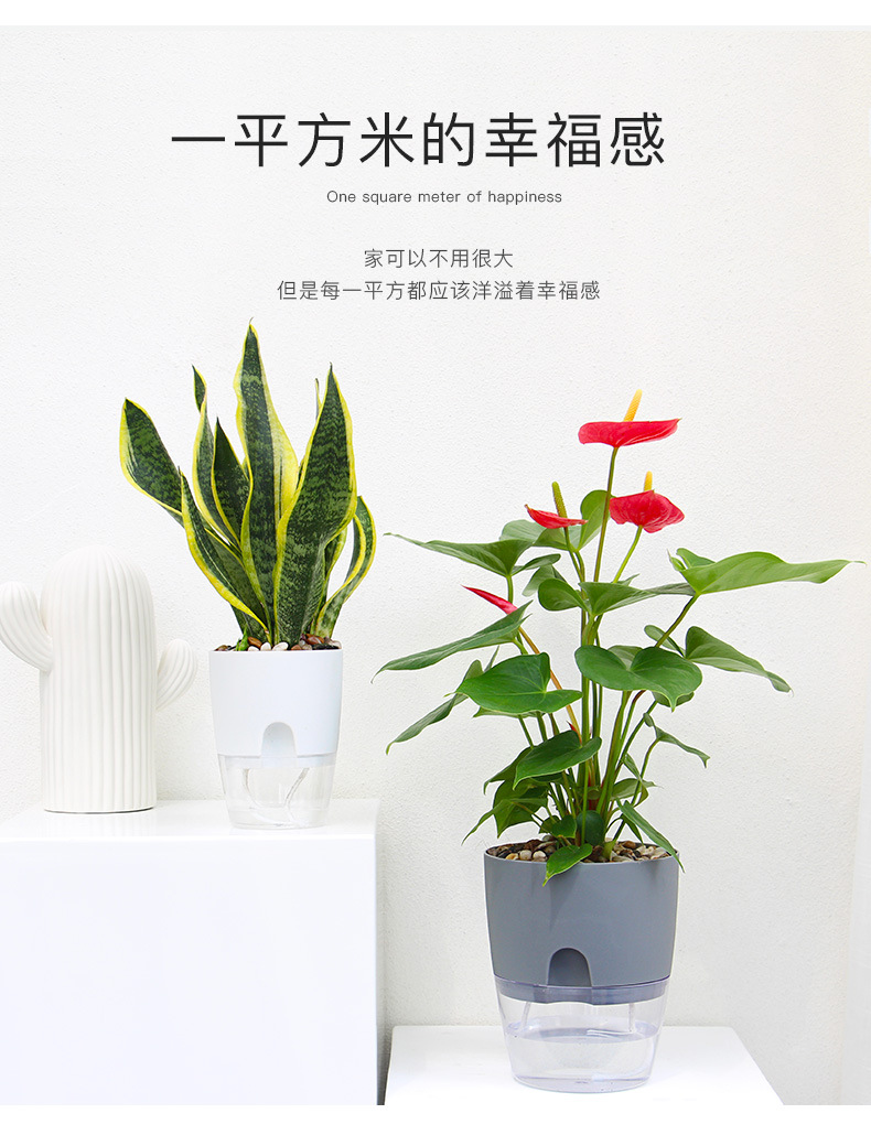 AS高透明系列_22