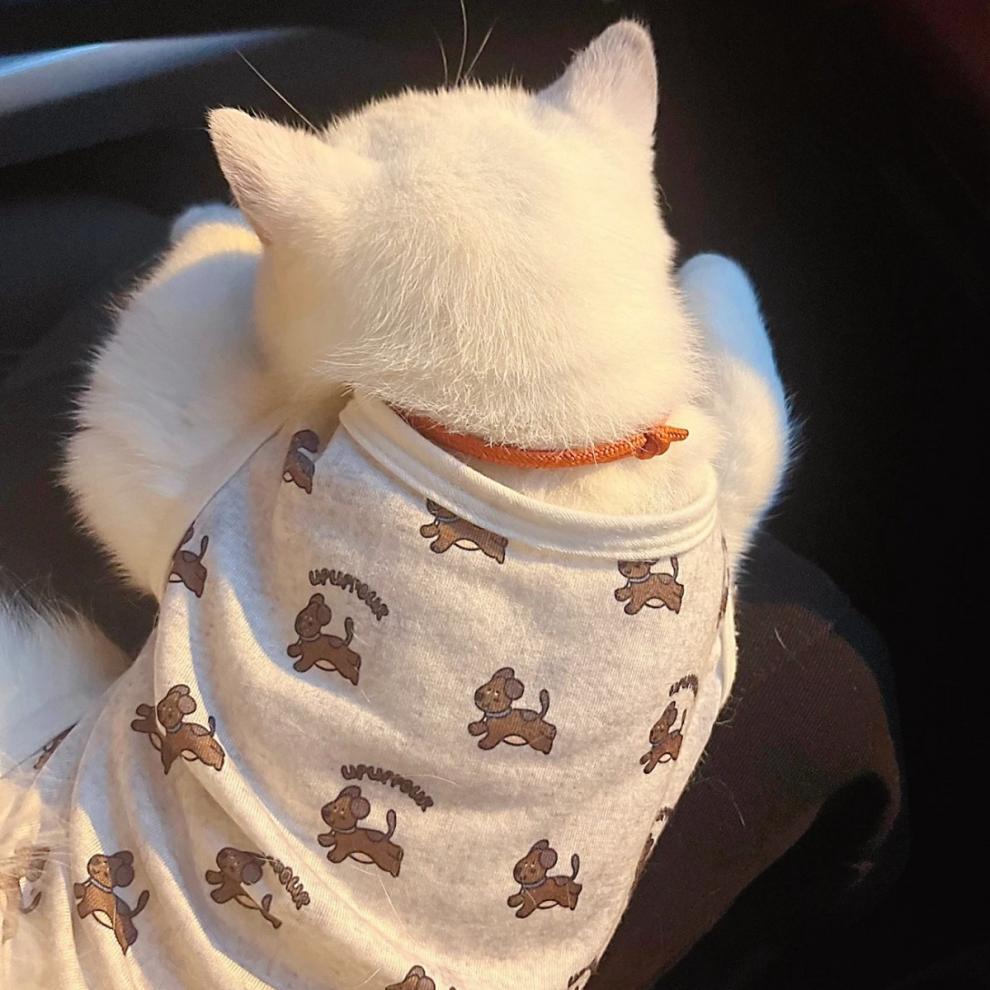 b132ee3e-7e2d-4005-acbb-a8b042f6dbe3.jpe