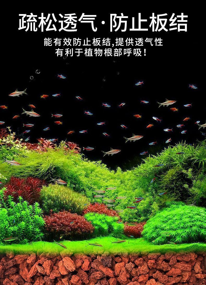 adf7b773-f663-4d32-8919-8be035325c8f.jpe