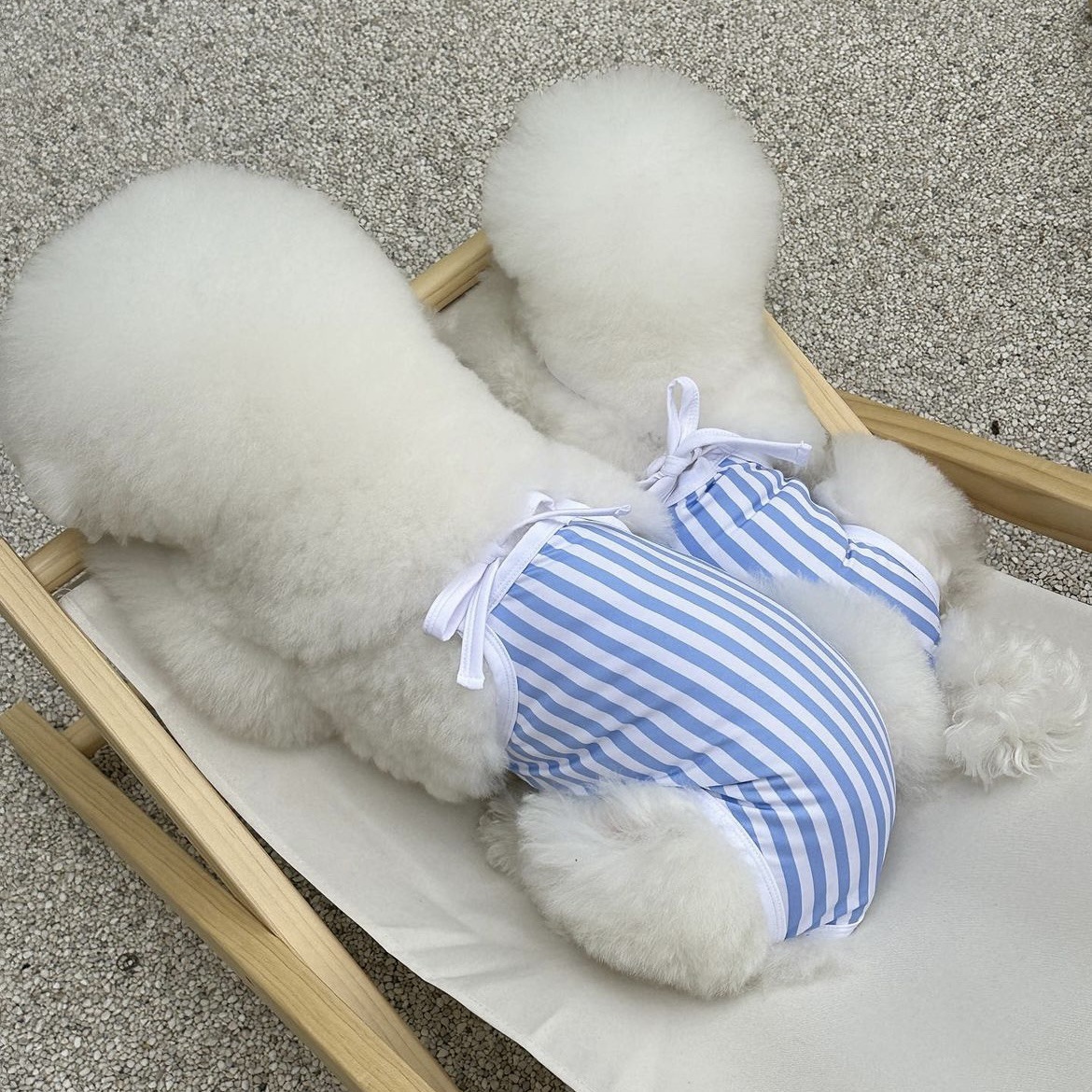 微信图片_20230530161738