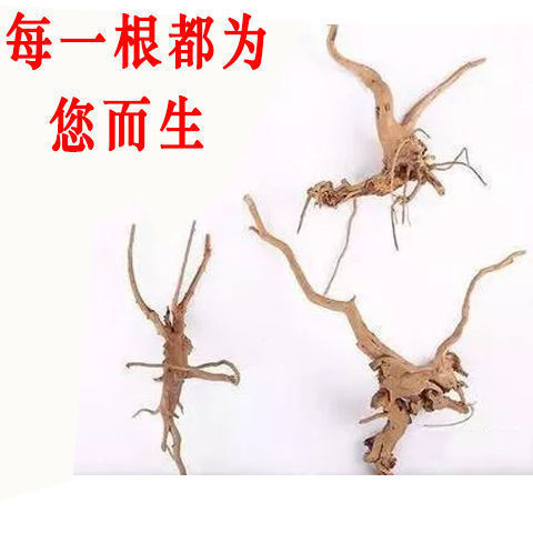 7b6732e5-ca42-4917-a046-1b880184247f.jpe