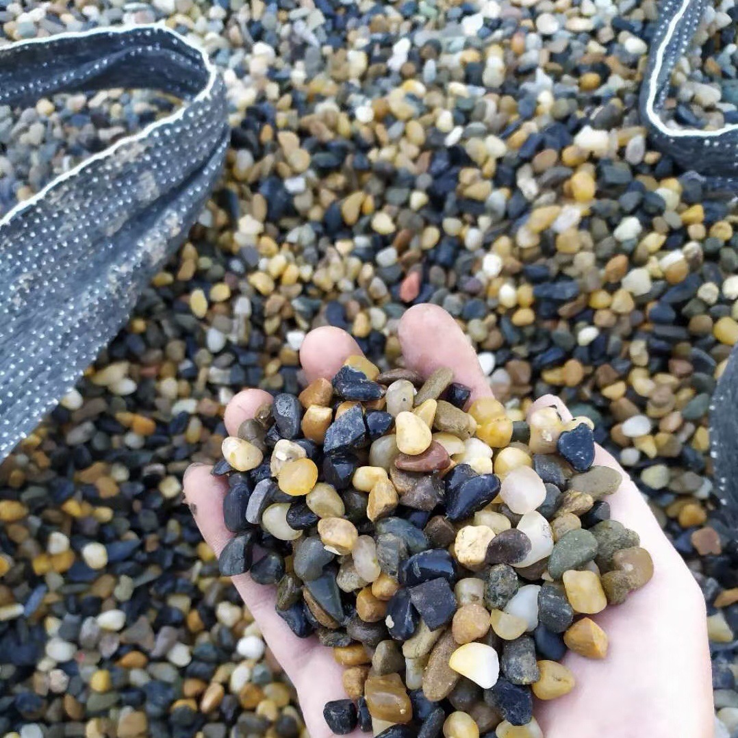 mmexport1615691372820_edit_177