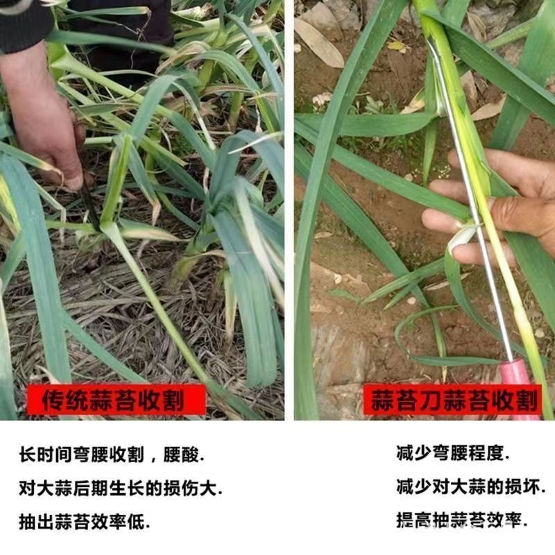微信图片_202504141520551.jpg