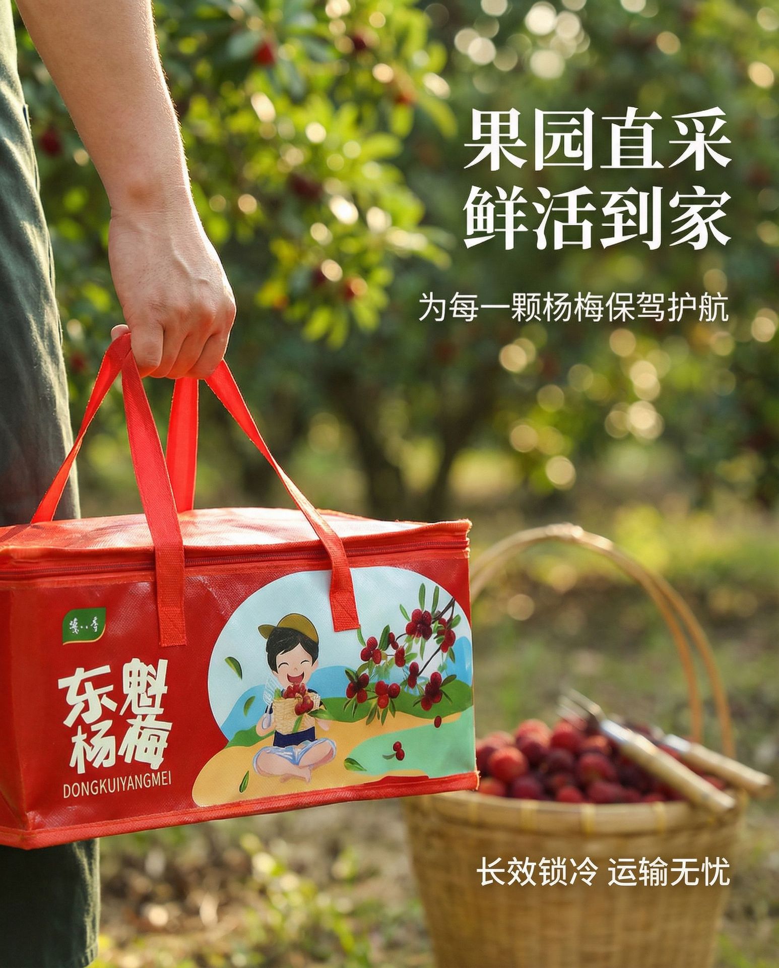 杨梅2