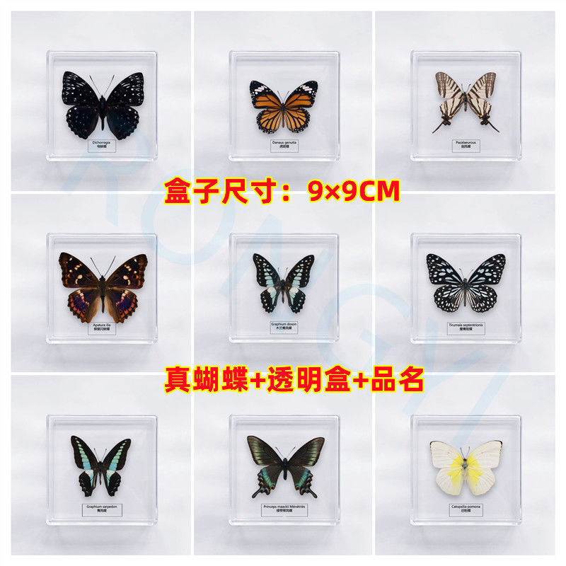 9bc69a2a-07d1-4bbb-9b89-6bbb0d4e1405.jpe