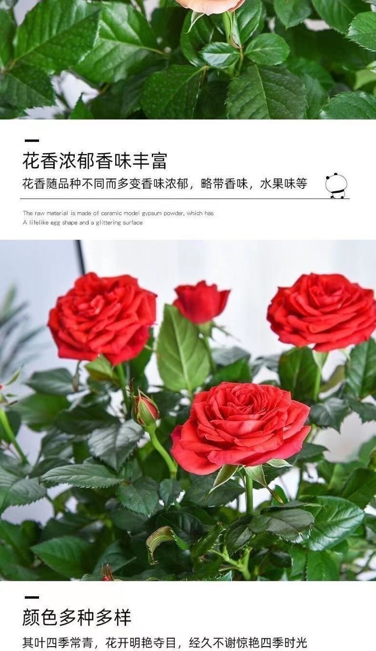 7ff37030-5dab-4ad0-b75b-c4f41be36115.jpe