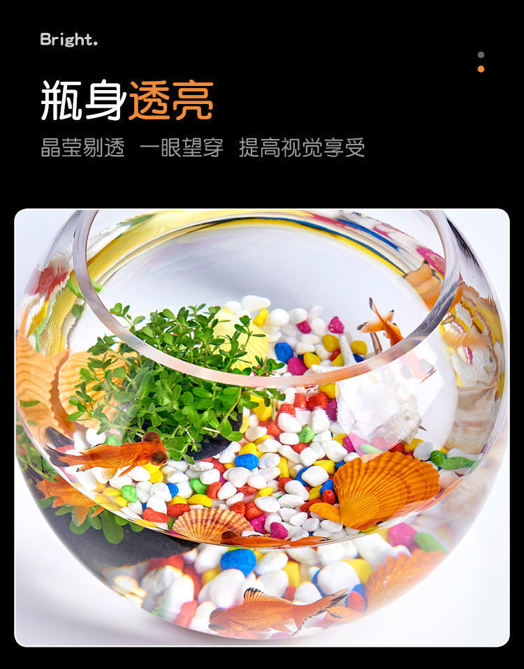 f33e277f-80dd-4ad8-922f-827163e1fbb6.jpe