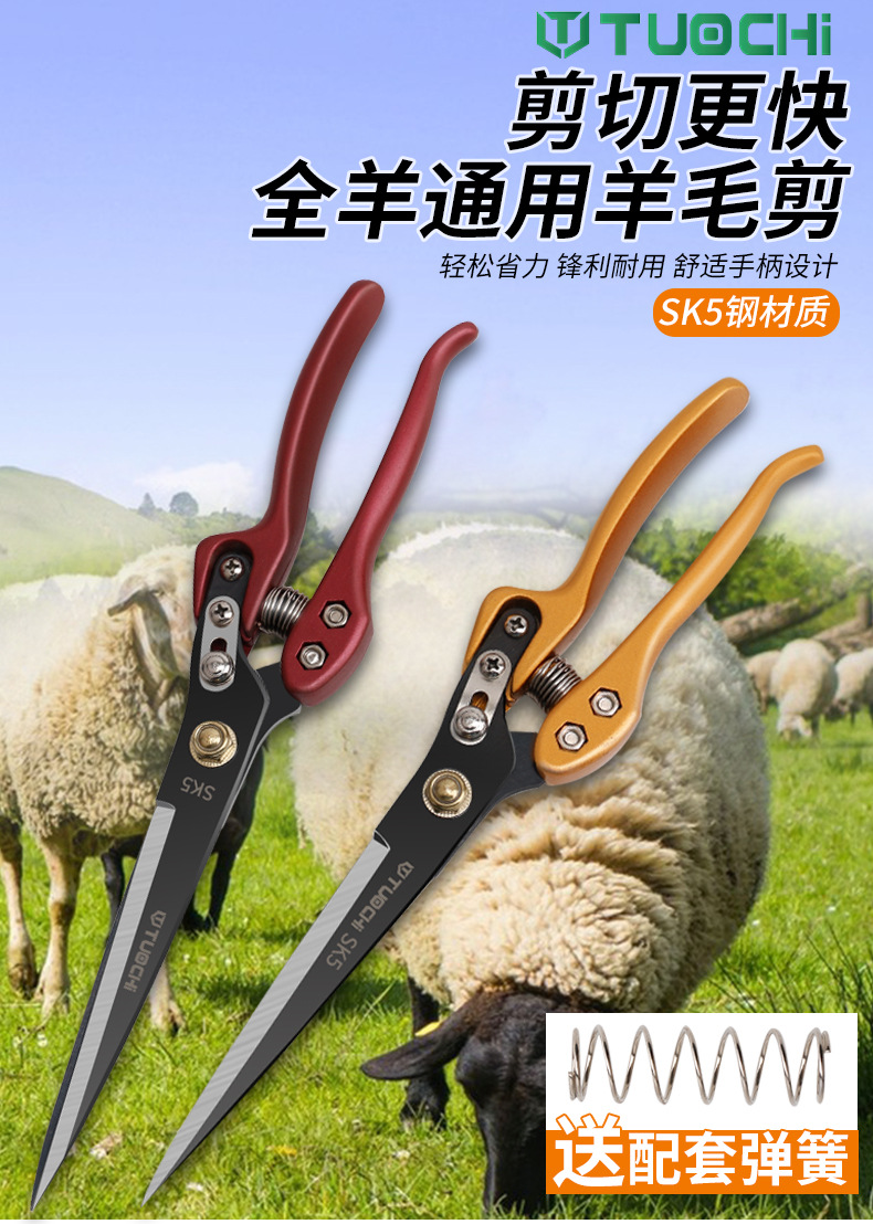 790详情_01.jpg