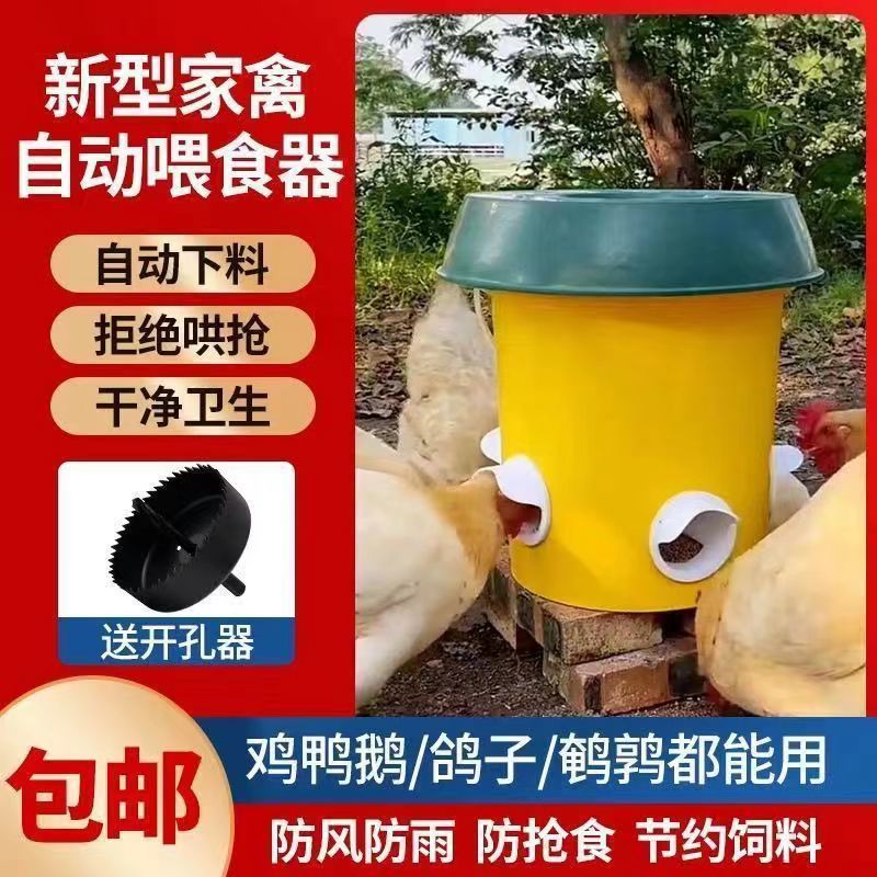 e367b539-4f65-461f-9a9e-90ed2904e8b0.jpe