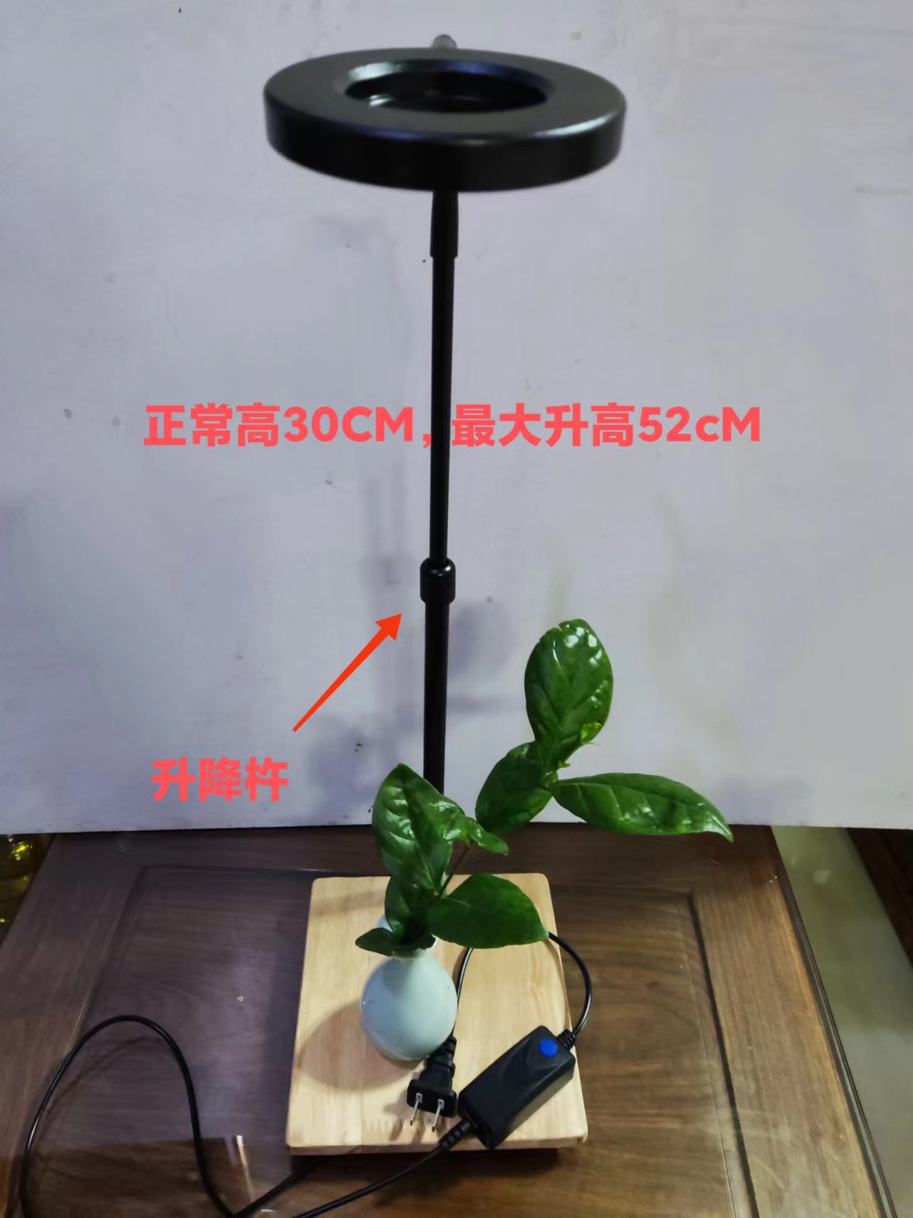 微信图片_20220917232239