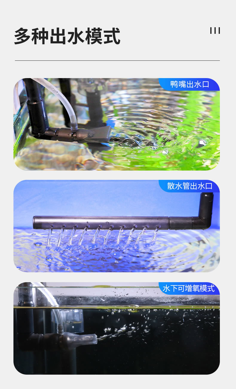 51f8a23e-31dc-4f06-9b3b-6418abf869a1.jpe