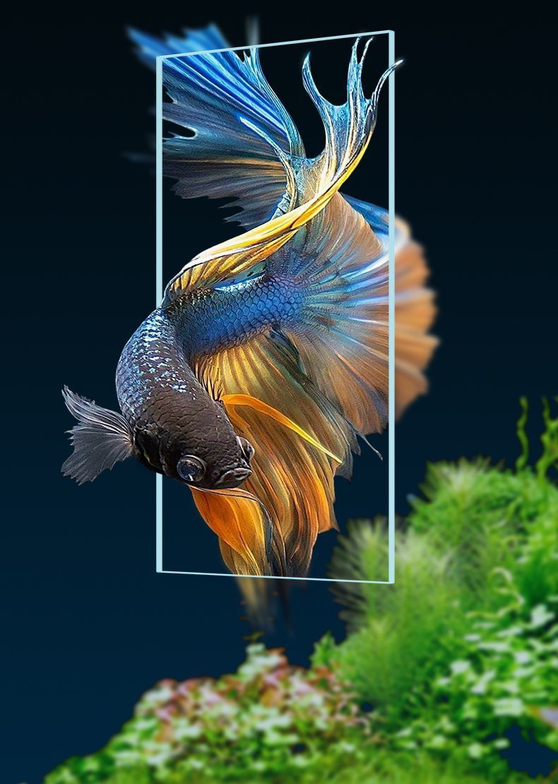 fb48057b-bfa4-49e6-99d1-db85ea1da055.jpe