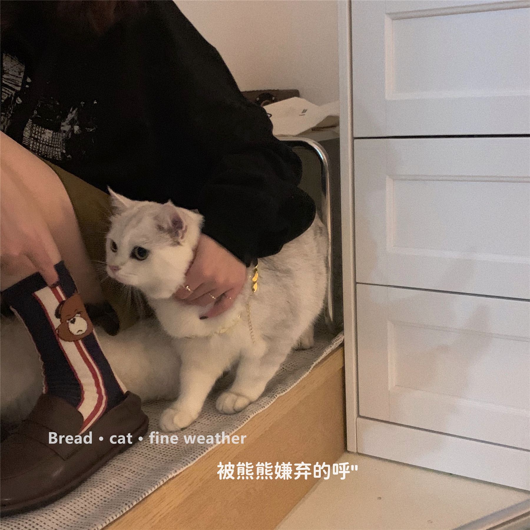 详情 (13).jpg