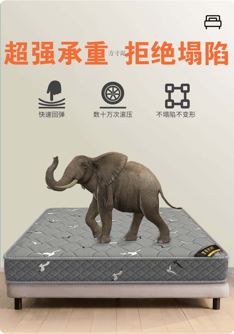 407dd2d1-56b9-4fa2-bd76-0f02fce995ea.png