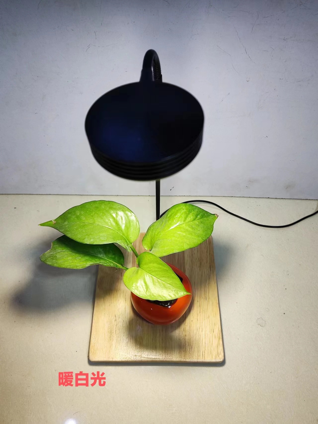 微信图片_20230108213810