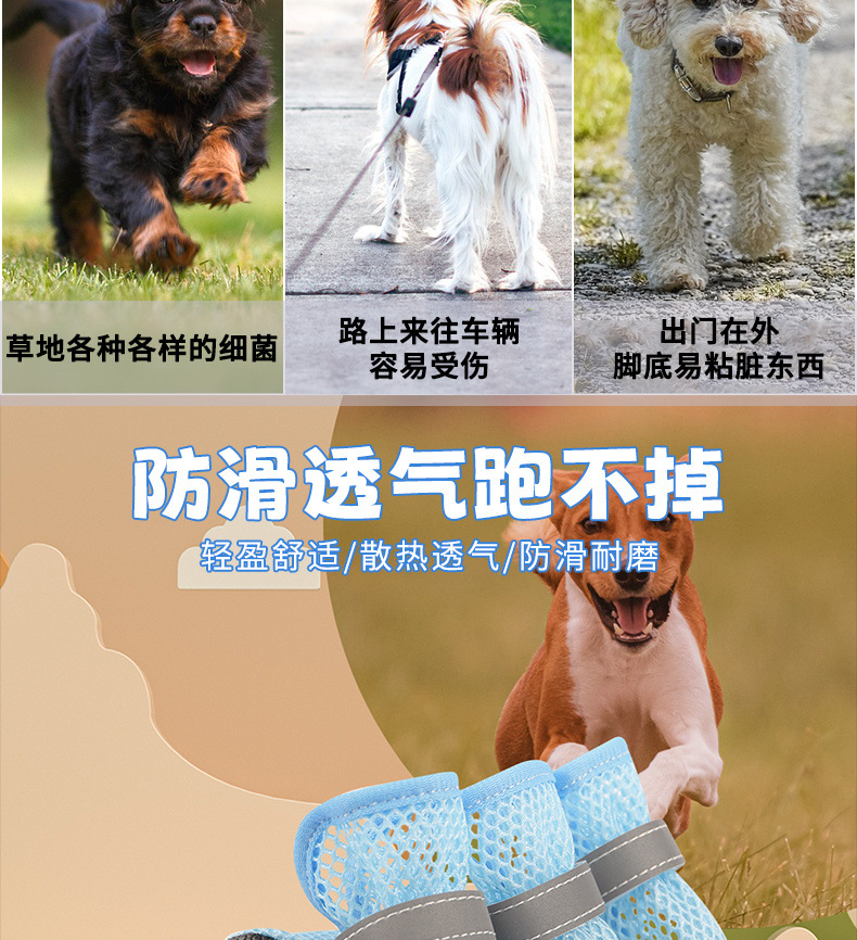 88a31933-78ec-4d2b-a63d-4cc8329b3381.jpe