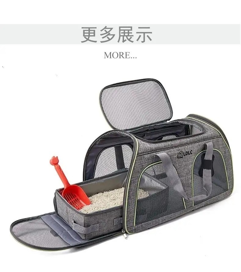 1084e5f7-884c-4e79-91ef-3545fd1a8c9f.jpe