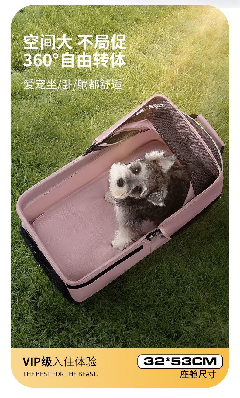 6e4a6459-3788-4e59-a54d-8ff5dcdc09ac.jpe