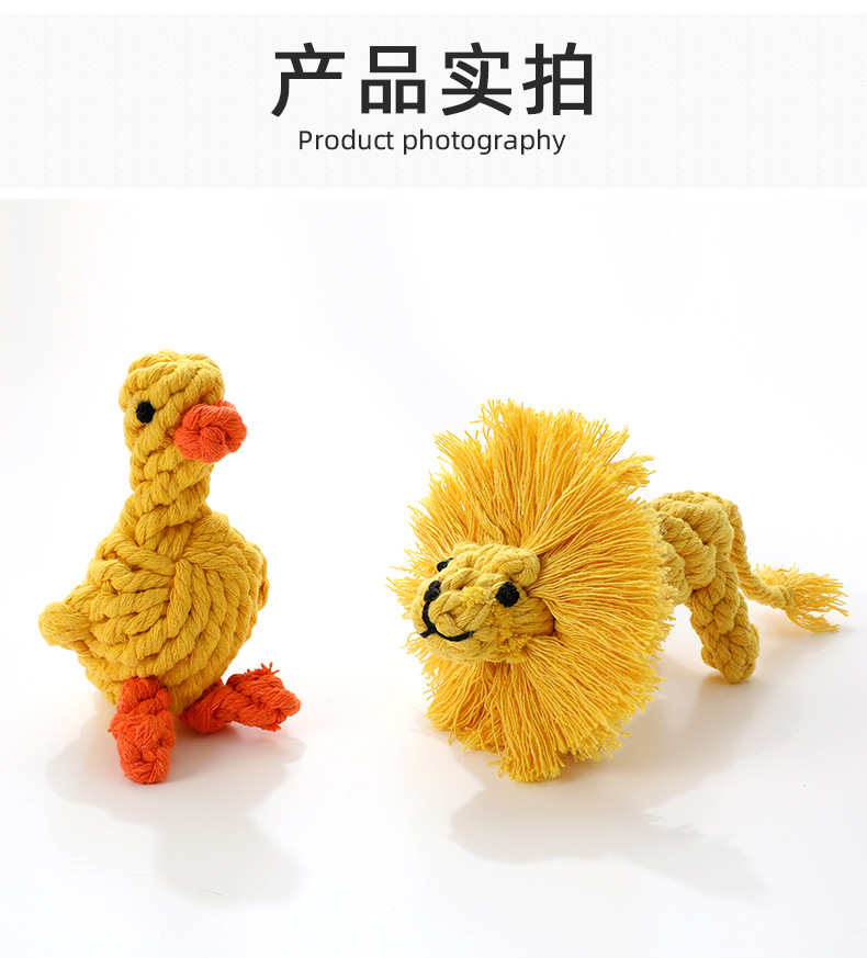 动物_06