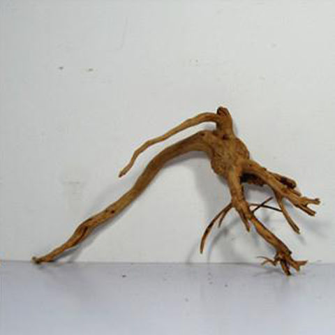 9a3dd139-d97a-4161-8a9b-34698ec81bd8.jpe