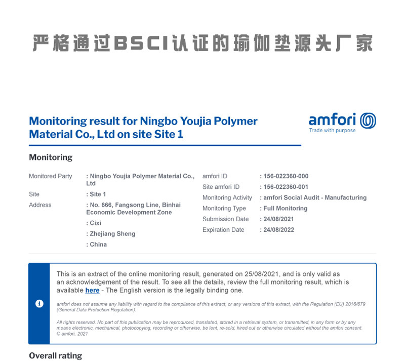 宁波优伽BSCI报告1