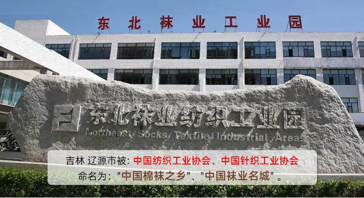 东北产业园图
