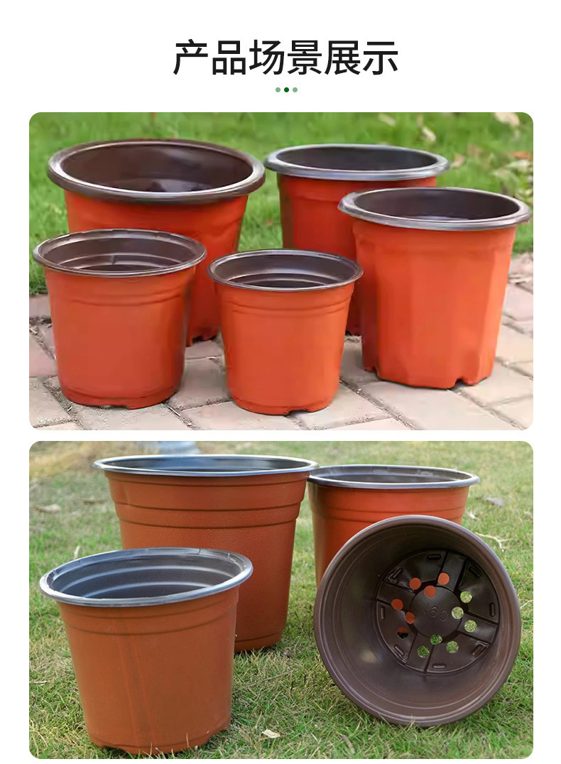 双色育苗盆,批发透气绿萝多肉花卉塑料花盆,加厚圆形双色pp塑料花盆