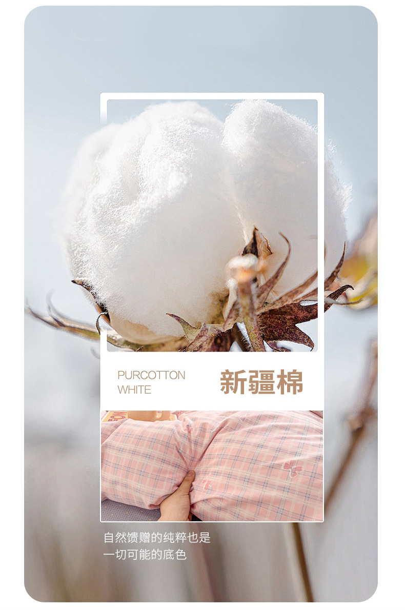 c014bdae-6632-4b0f-89e5-89cee6d78bb32025