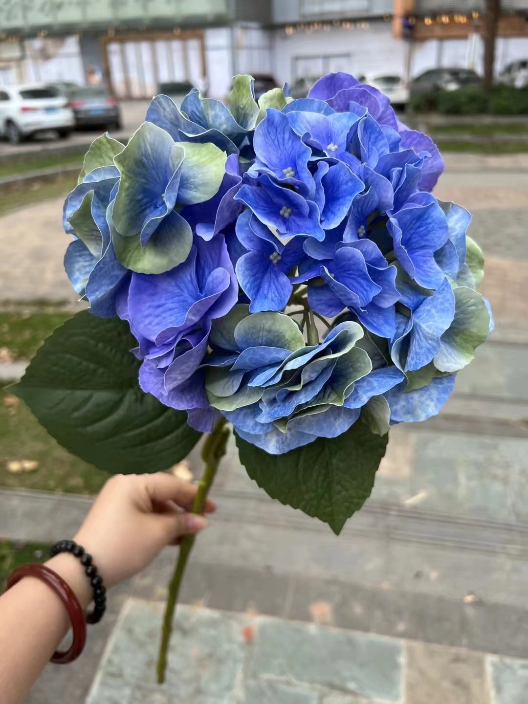 微信图片_20240805150157