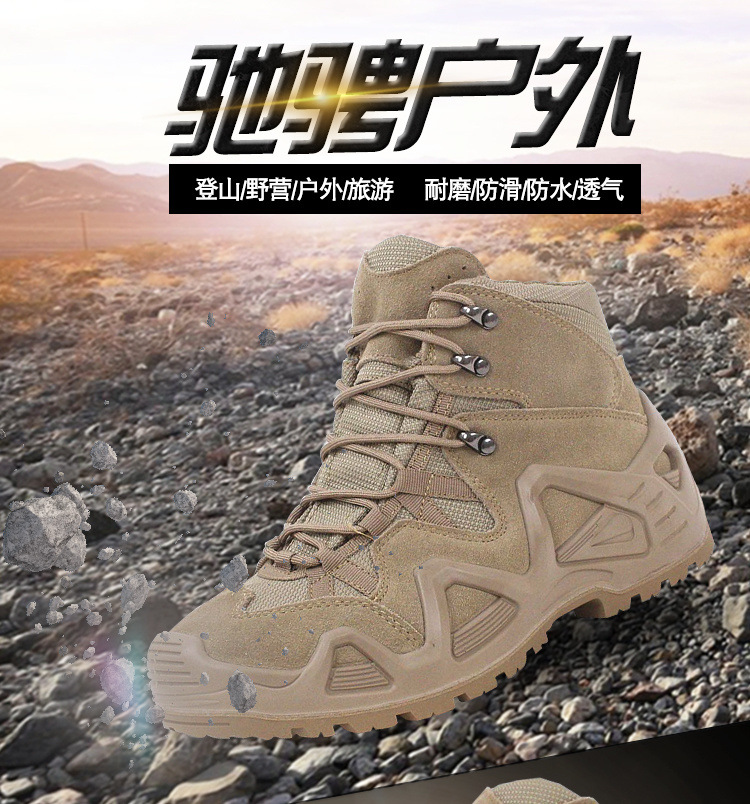 ae724db6-f680-4f1e-9a8f-7a823ed77093.jpg