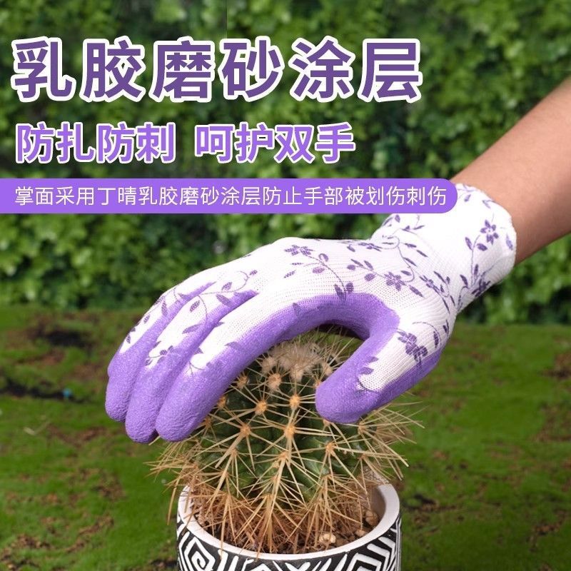 399cdf0b-ceed-40e3-a554-3e2ac61304cc.jpe