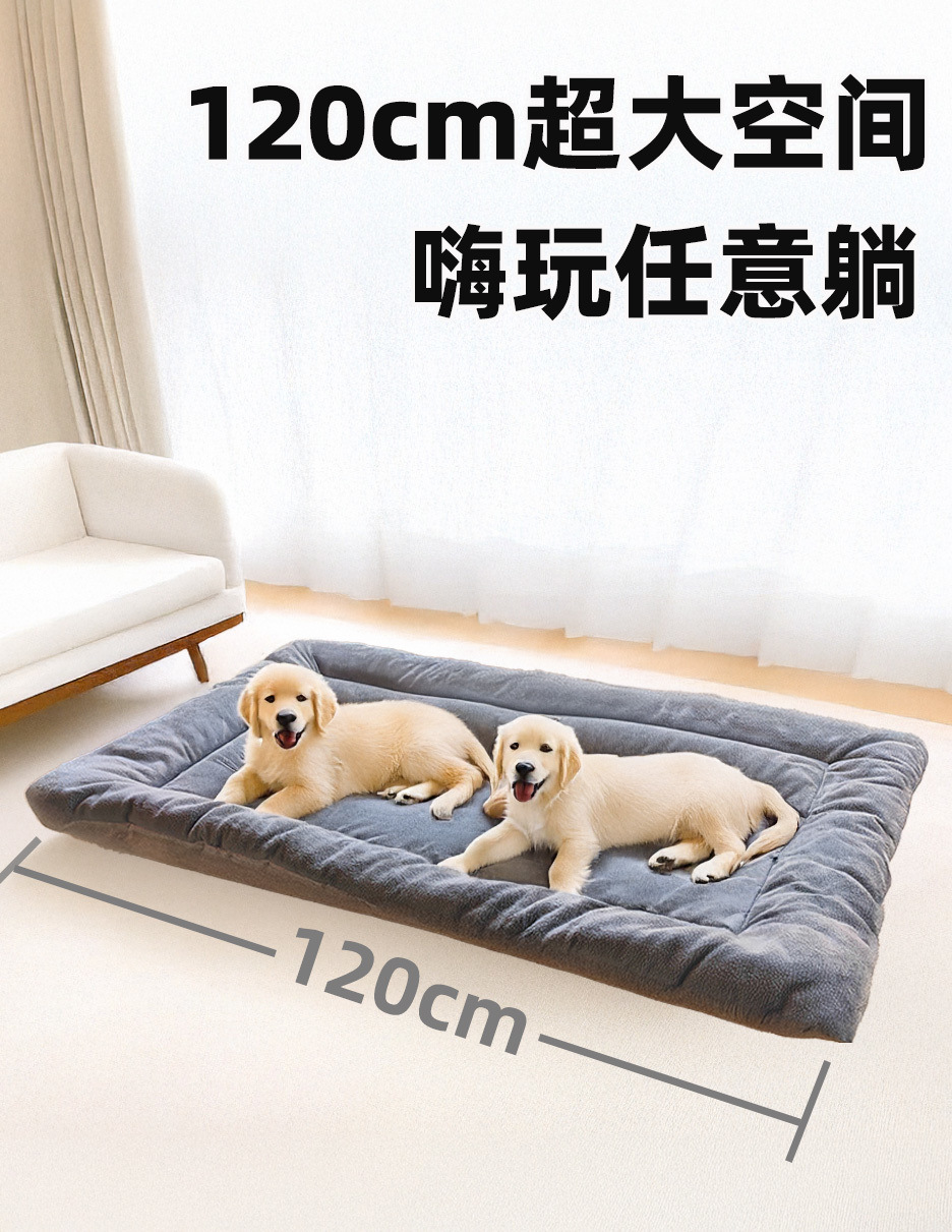 84eb4762-e130-4d57-9520-5dfd1ef6a01e.jpe